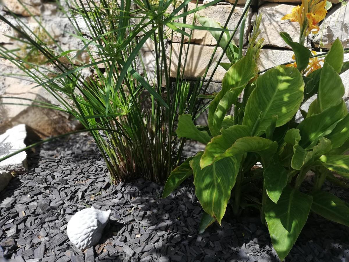 Apartman Nono Splitska Luaran gambar
